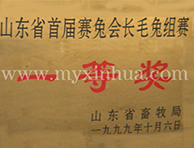 山東省首屆賽兔會長毛兔組賽獎項(xiàng)